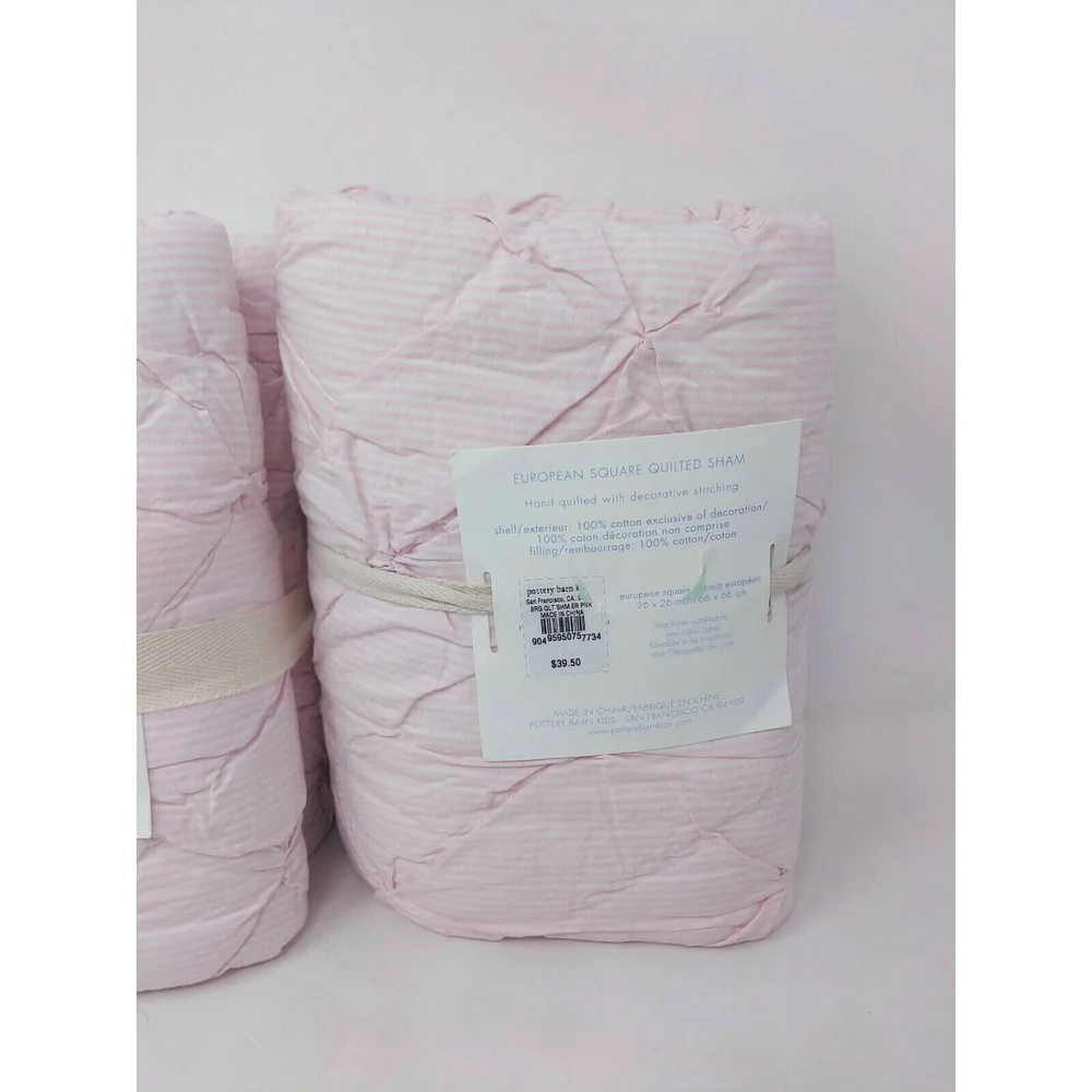 Pottery Barn Kids Brigette‎ Ruffle Quilted Shams Pair 2 European Square 26